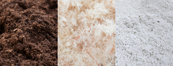 VIM-NAM-EN-PPW-BSW-eGuide-BSW_Dec_2024_Banner (1).png